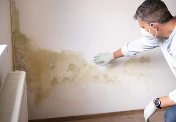 Dampness Control Specialist